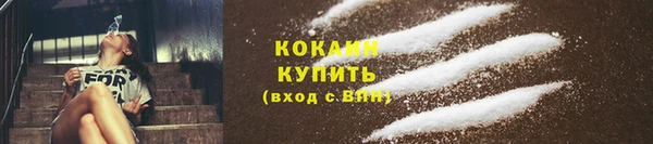 шишки Сафоново